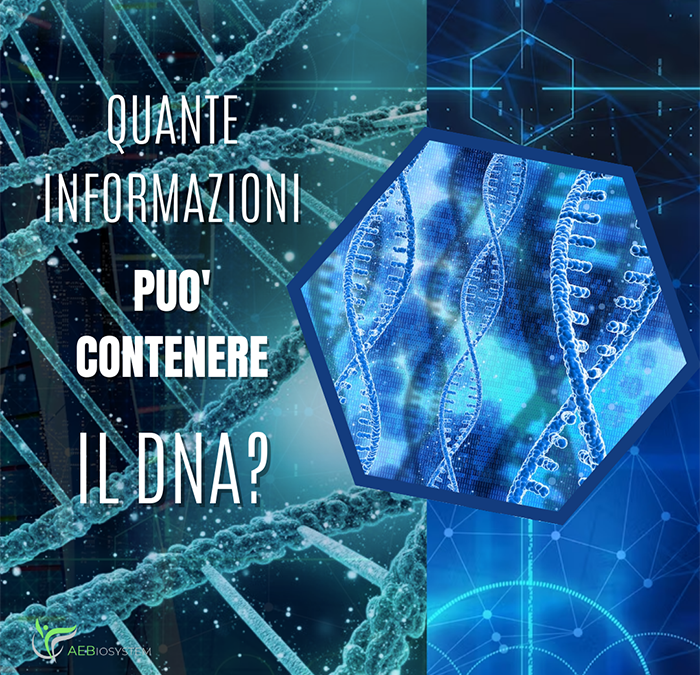 Quante informazioni può contenere il DNA?