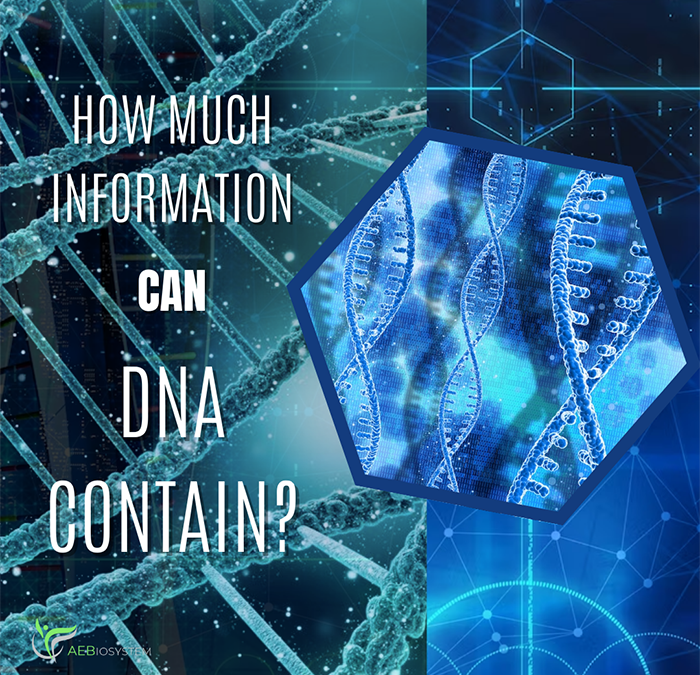 How much information can DNA contain?